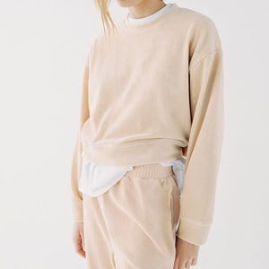 Zara Corduroy Cropped Sweatshirt